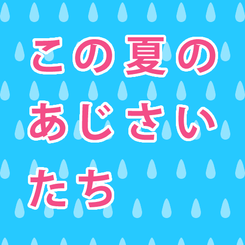 この夏のあじさいたち