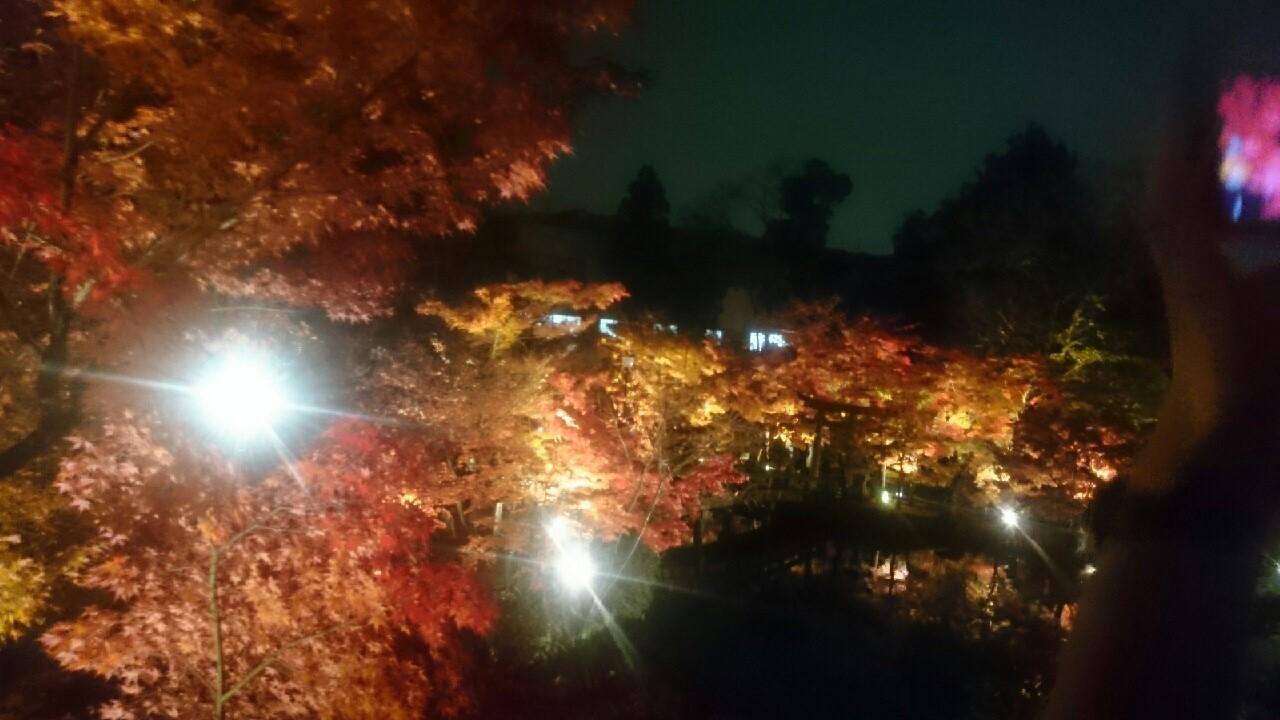 そうだ!京都へ行こう!
