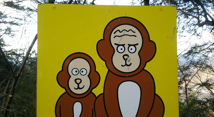 【タイムアタック】2時間で、高尾山を登って降りてくることはできるか!?