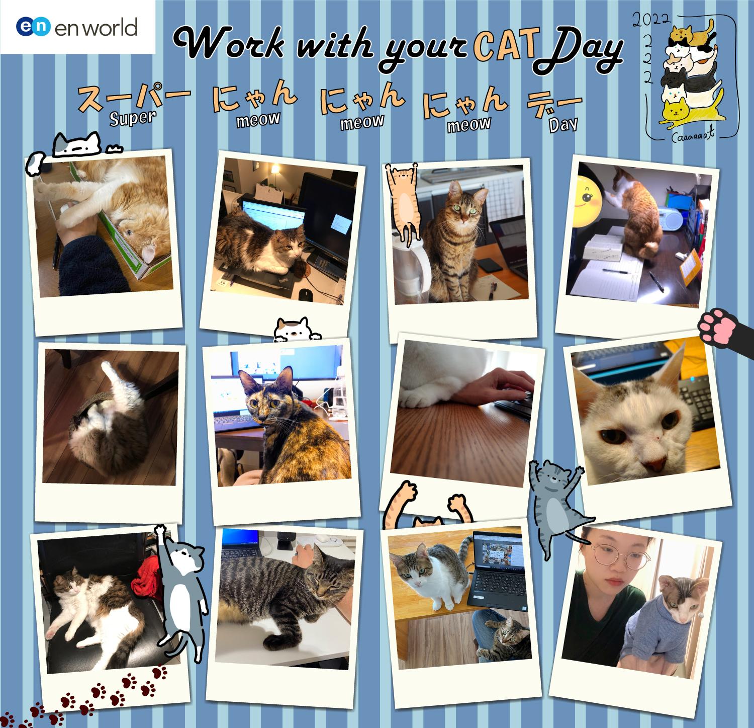 Work with your Cat Day!エンワールド社員のネコちゃんをご紹介! #きょうのエン