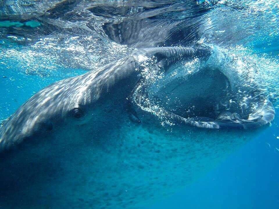 【誰得情報】ボーナスの使い道大公開。働いて、稼いで、プチ贅沢。