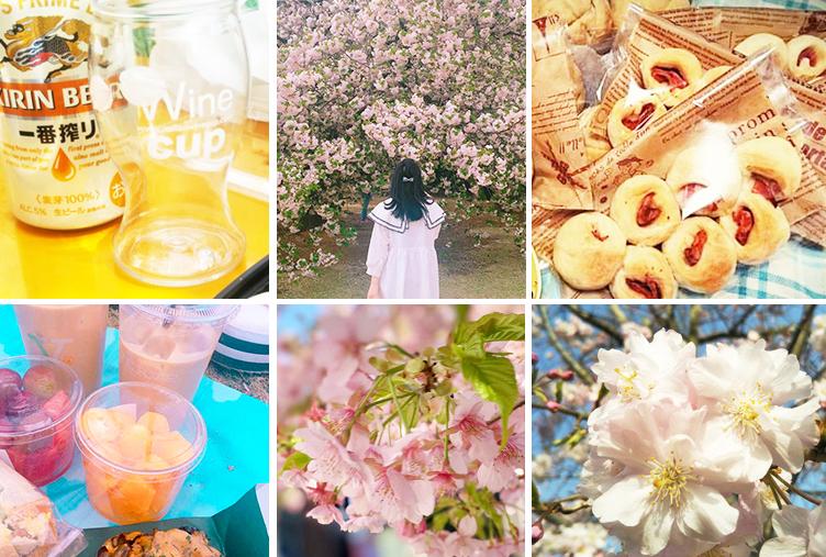 エン社員のお花見、どこいく?何する?オススメを聞いてみた #きょうのエン