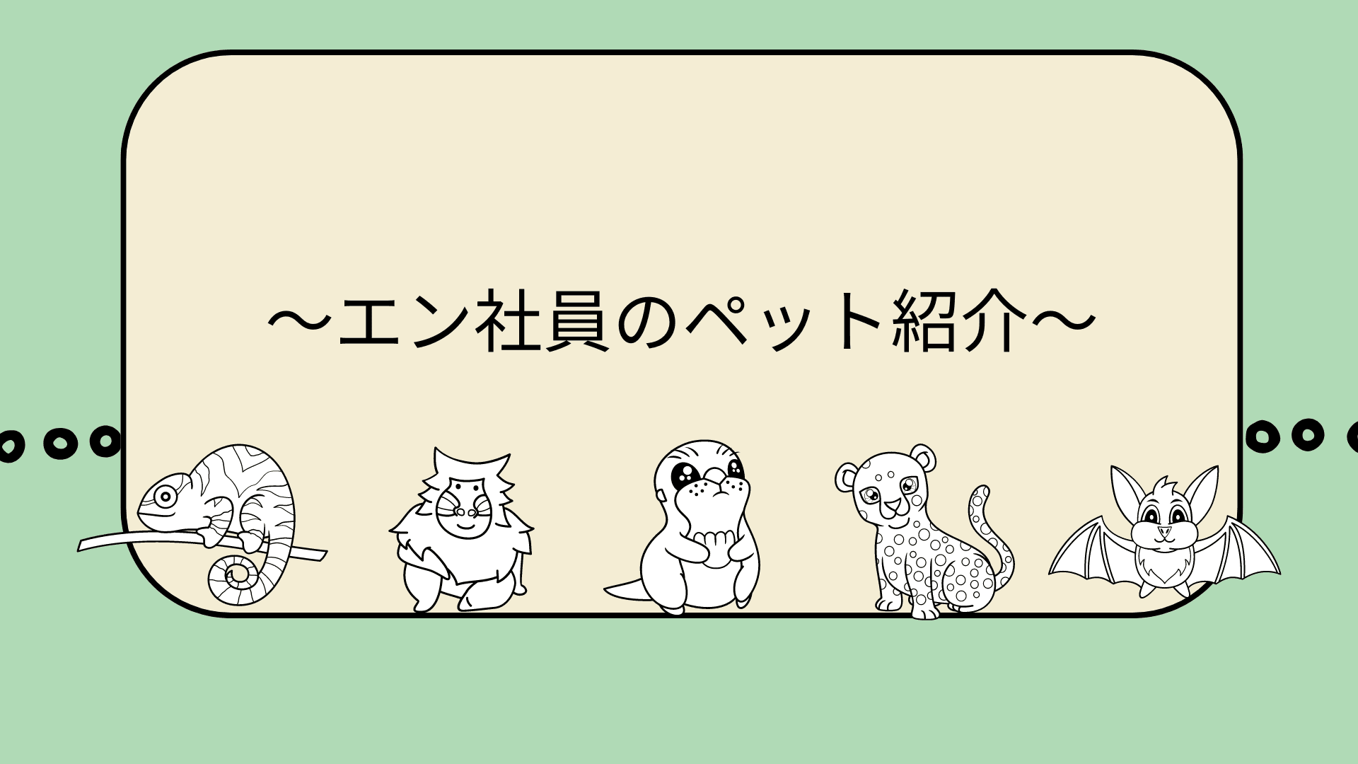 動物好きの皆さん大集合!~エン社員のペット紹介~