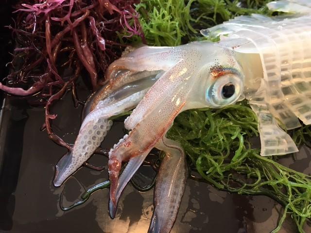 福岡に帰ってきてバリよかったぁ