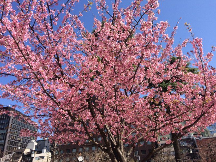 「入社前、なに準備した?」労務のみんなに聞いてみました