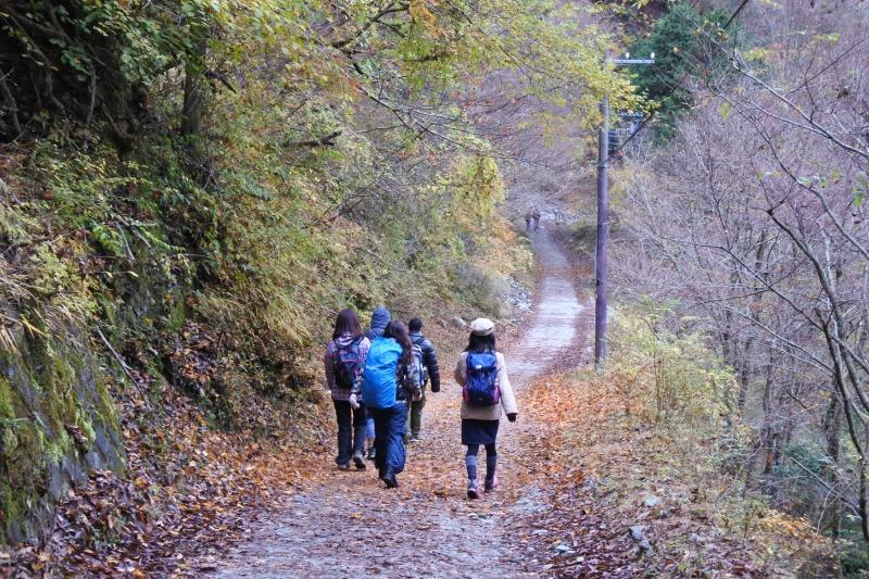 神奈川の秘境!青い絶景ユーシン渓谷ってなんだ?