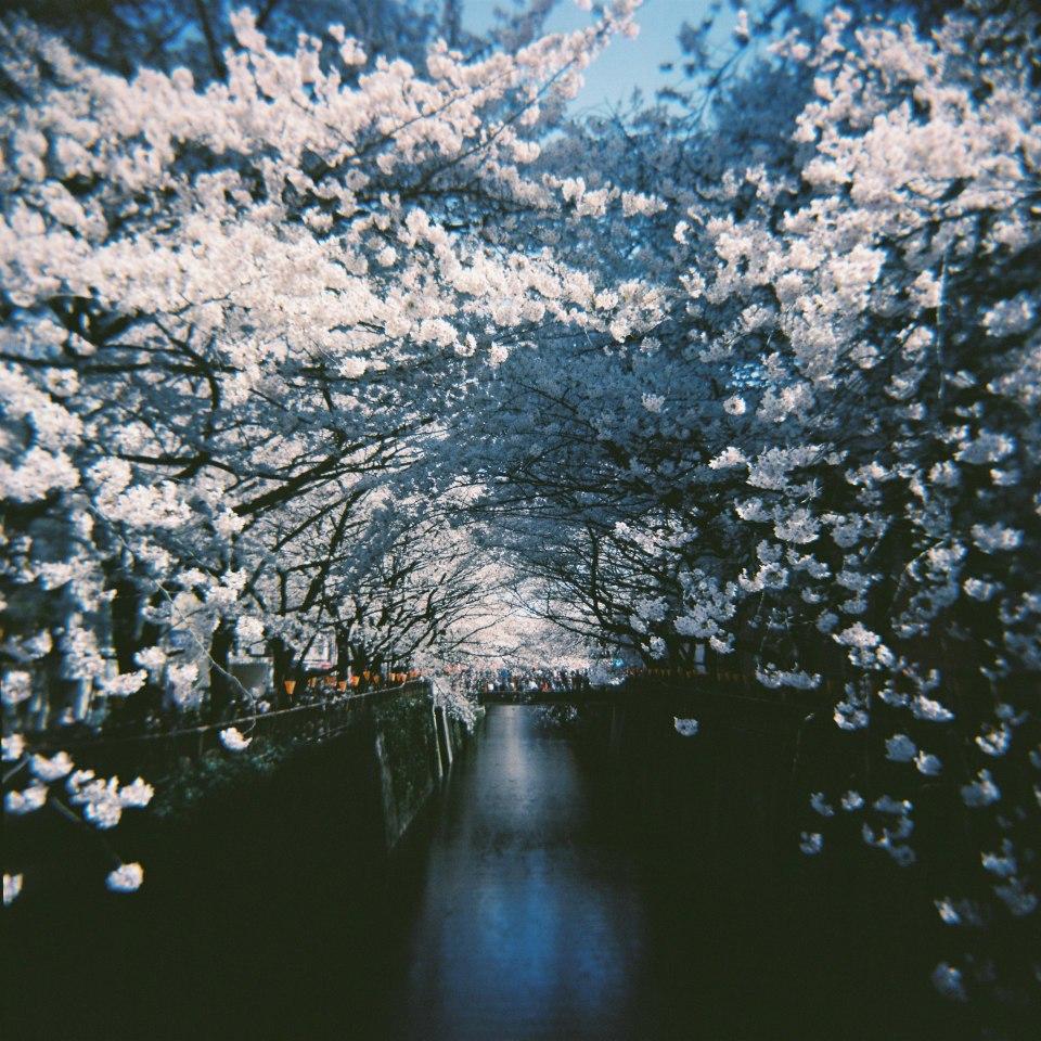 フイルムで写真を撮ろう