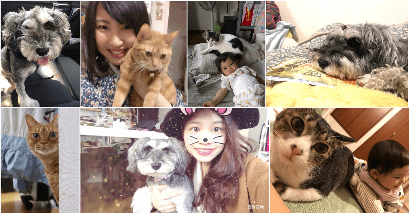 動物好き社員集合! 自慢のペットをおひろめ、その1。#きょうのエン