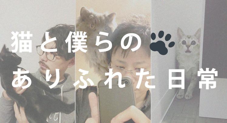 ネコと僕らの日常。デザイナー、マーケター、編集者の場合 #きょうのエン