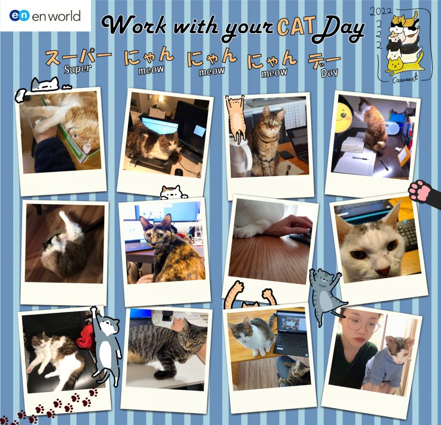 Work with your Cat Day！エンワールド社員のネコちゃんをご紹介！ #きょうのエン